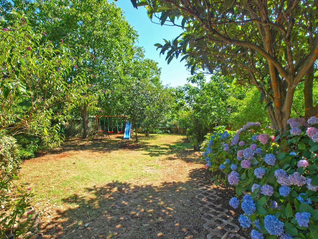 Apartments Vlasta 1410 Premantura Εξωτερικό φωτογραφία